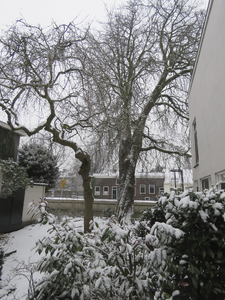 907999 Gezicht in de besneeuwde binnentuin van het studentencomplex 'Rosaklooster' (Lauwerecht 52 en Schepenmakerssteeg ...